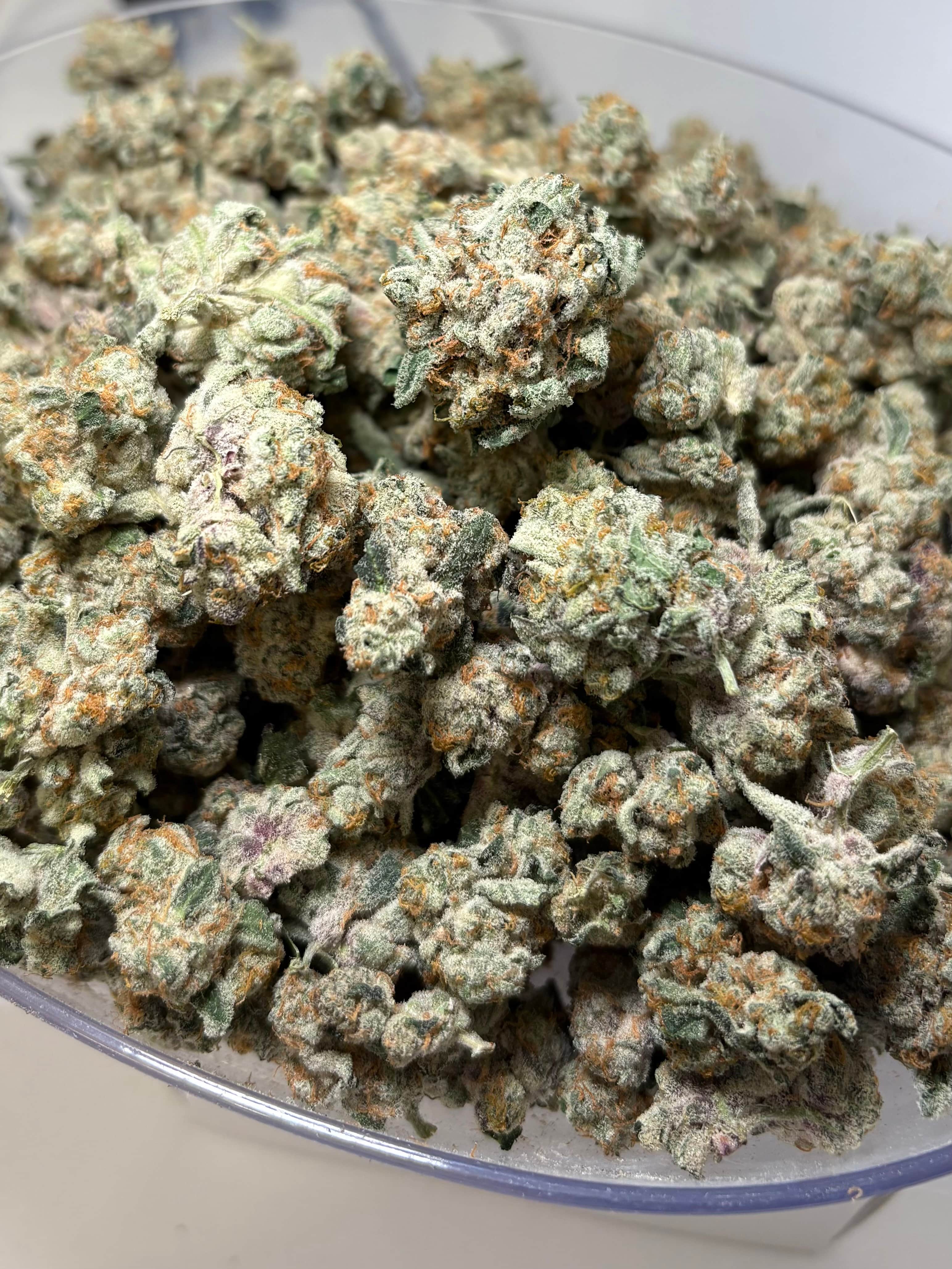Ragged Wizard Bulk Flower - Strawberry Cough
