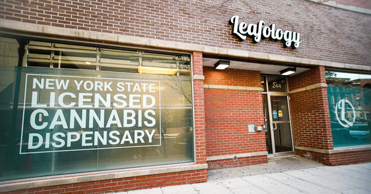 Leafology Cannabis Company Arrives on Xshack.app