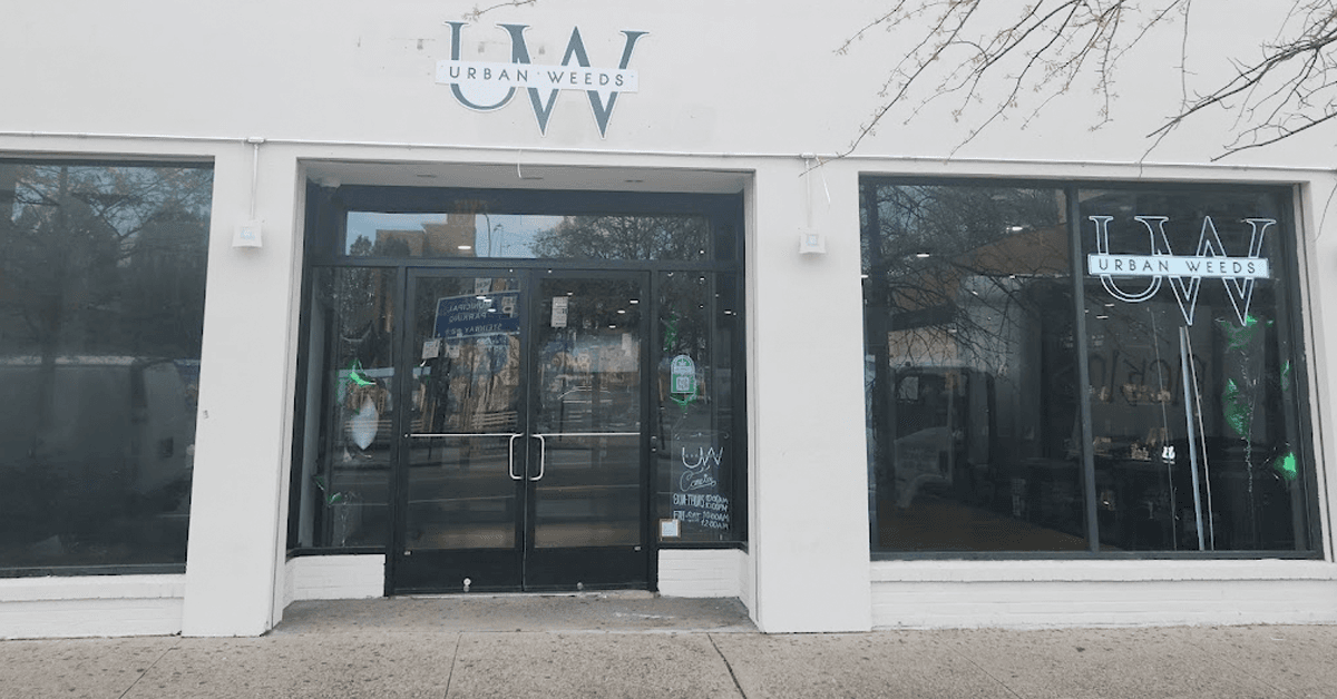 Urban Weeds Arrives on Xshack.app