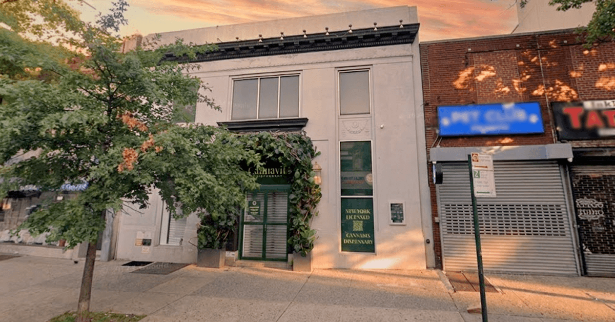 A Fresh Cannabis Experience on Xshack.app: Introducing Cannavita