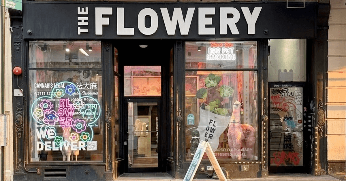 Check Out Elevate SOHO Cannabis, Newest Addition to XShack.app