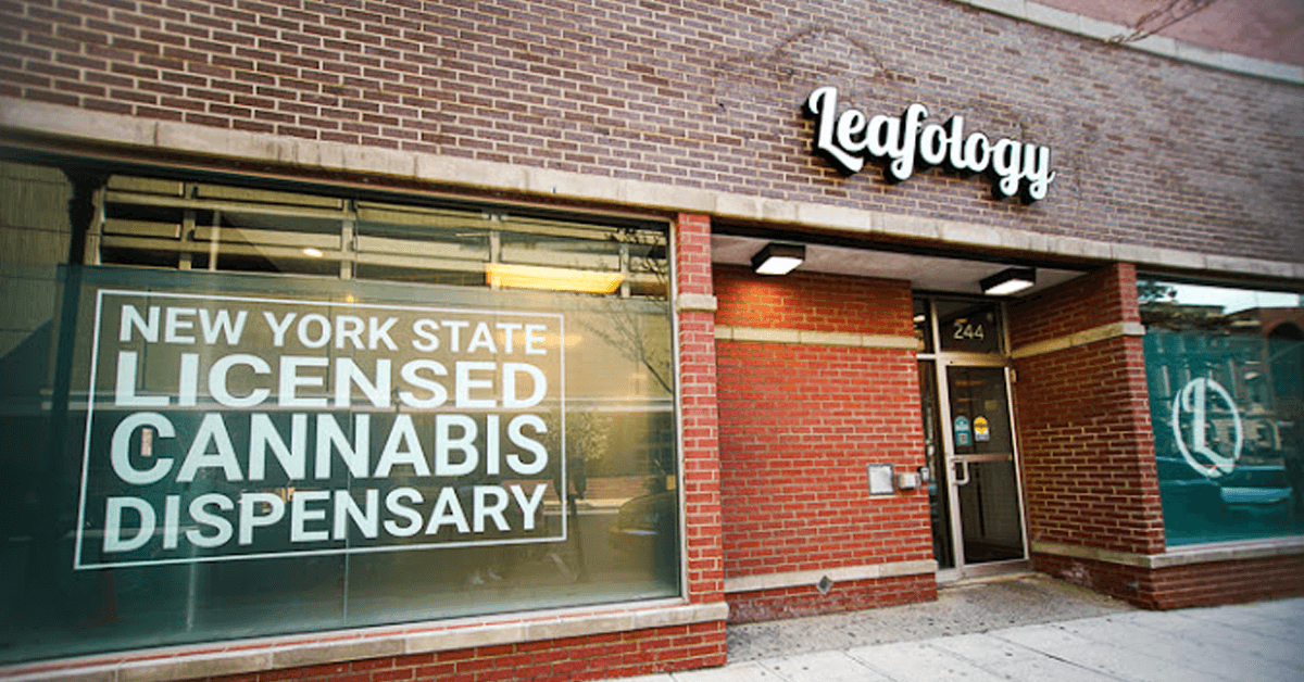 Leafology Cannabis Company Is Making Its Mark on Xshack.app