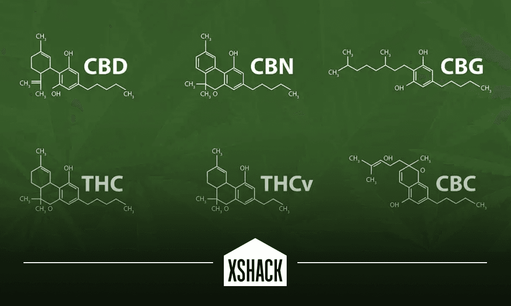 Major vs. Minor Cannabinoids: What’s the Difference?