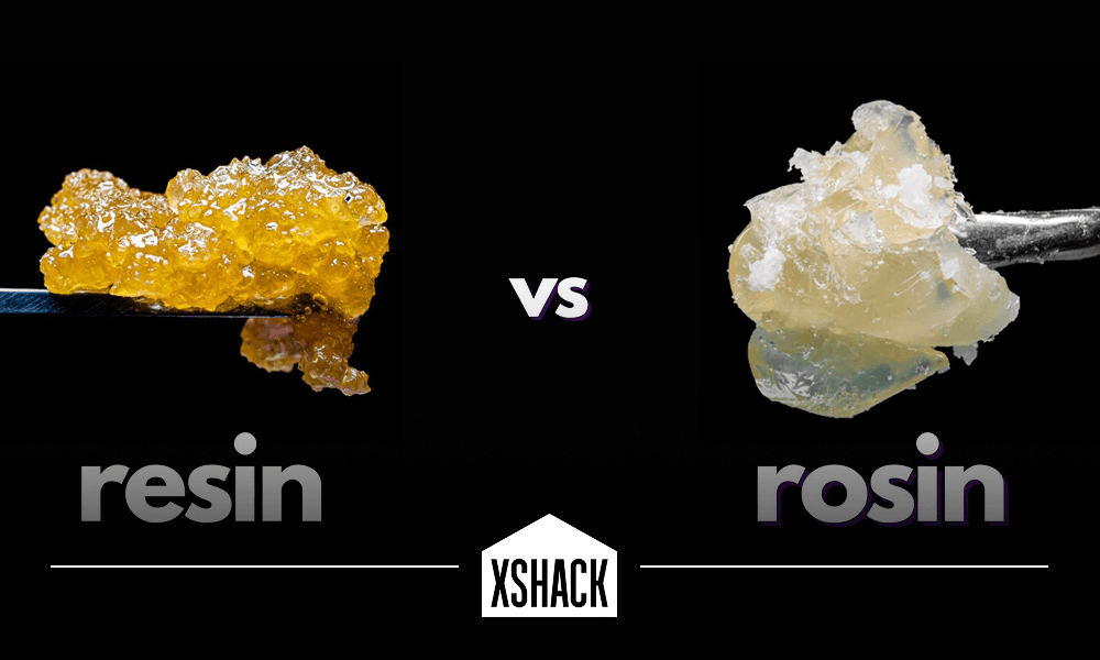 What is the Difference Between Live Resin and Live Rosin?