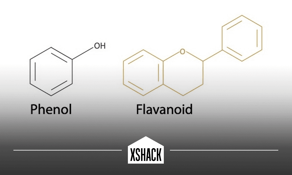 Flavonoids and Phenols: The Unsung Heroes of the Entourage Effect