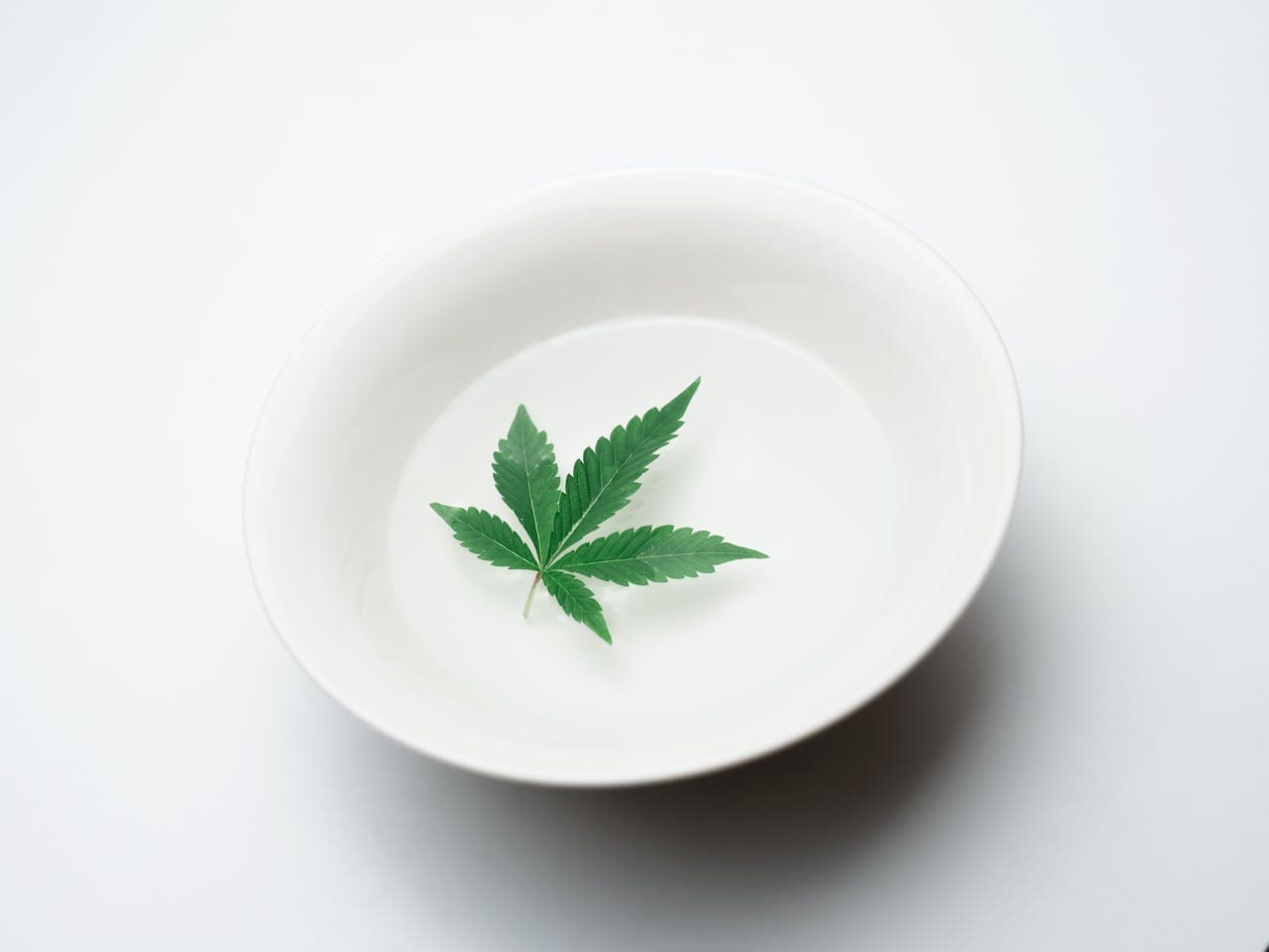 Security & Privacy First: Protecting Your Cannabis Journey