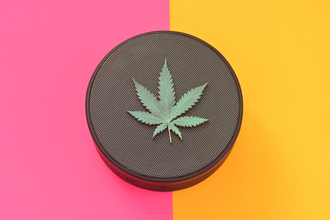 XShack App: A Platform for every cannabis user