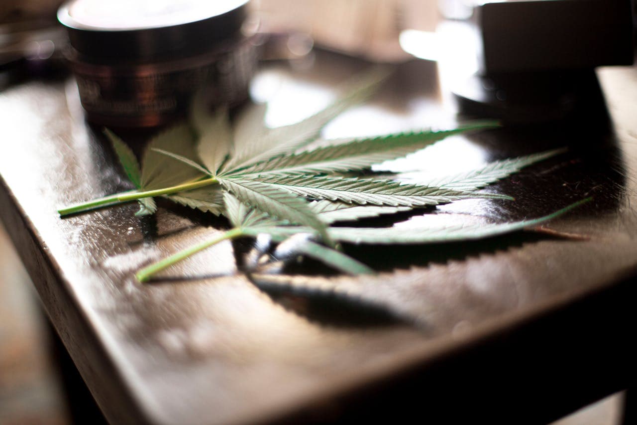 How to Get Featured on Xshack App and Boost Visibility for Your Cannabis Products as a Retailer